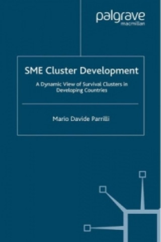 SME Cluster Development