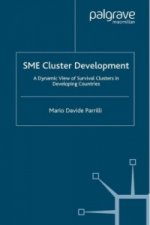 SME Cluster Development