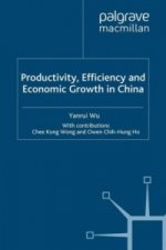 Productivity, Efficiency and Economic Growth in China