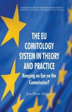 EU Comitology System in Theory and Practice