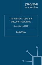 Transaction Costs and Security Institutions