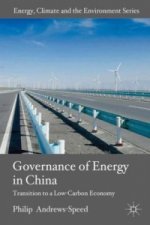 Governance of Energy in China