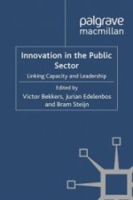 Innovation in the Public Sector