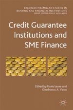 Credit Guarantee Institutions and SME Finance