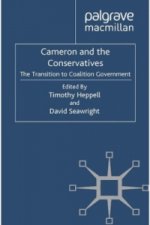 Cameron and the Conservatives