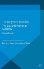Cultural Politics of Austerity