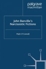 John Banville's Narcissistic Fictions