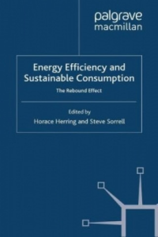 Energy Efficiency and Sustainable Consumption