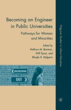 Becoming an Engineer in Public Universities