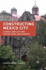 Constructing Mexico City