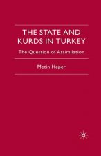 State and Kurds in Turkey