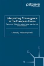 Interpreting Convergence in the European Union