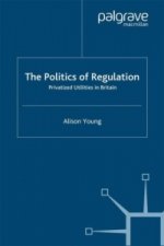 Politics of Regulation