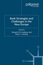 Bank Strategies and Challenges in the New Europe