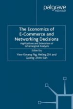 Economics of E-Commerce and Networking Decisions