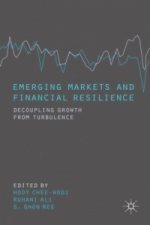 Emerging Markets and Financial Resilience