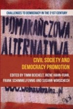 Civil Society and Democracy Promotion