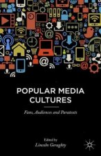 Popular Media Cultures