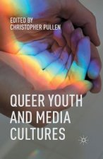 Queer Youth and Media Cultures