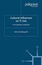 Cultural Influences on IT Use