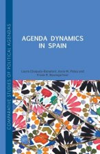 Agenda Dynamics in Spain