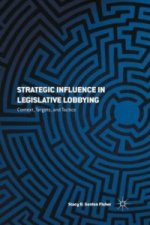 Strategic Influence in Legislative Lobbying