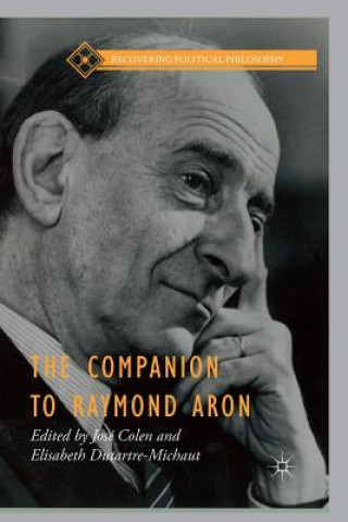 Companion to Raymond Aron