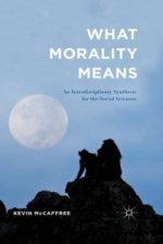What Morality Means