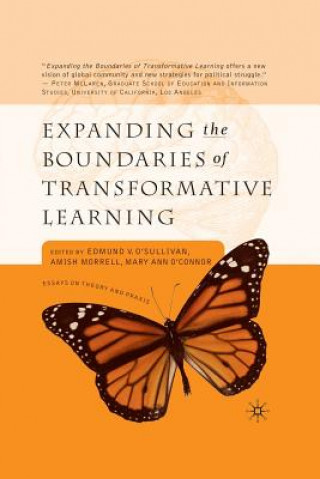 Expanding the Boundaries of Transformative Learning