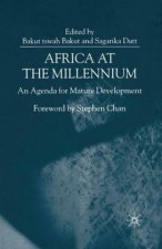 Africa at the Millenium