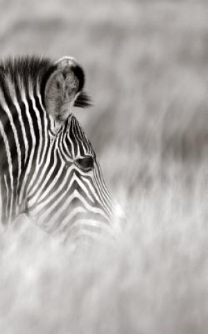 Alive! zebra stripes - Black and white - Photo Art Notebooks (5 x 8 series)
