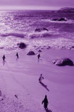 Alive! little penguin friends - Violet duotone - Photo Art Notebooks (6 x 9 series)