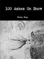 100 Ashes on Snow