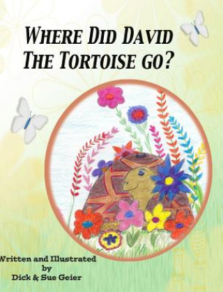 Where Did David The Tortoise Go?