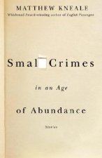 Small Crimes in an Age of Abundance