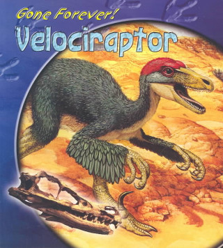 Velociraptor