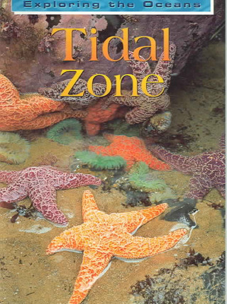 Tidal Zone