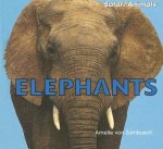 Elephants