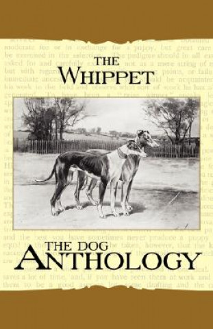 The Whippet - A Dog Anthology (A Vintage Dog Books Breed Classic)