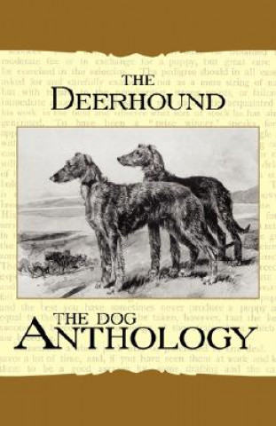 The Deerhound - A Dog Anthology (A Vintage Dog Books Breed Classic)