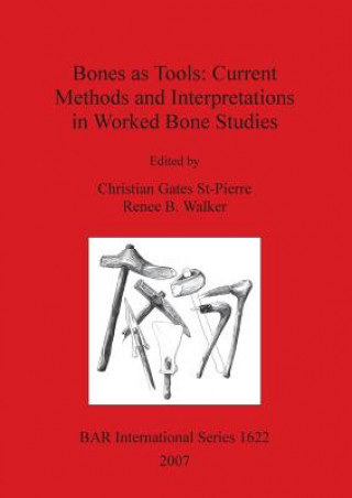 Bones as Tools: Current Methods and Interpretations in Worked Bone Studies