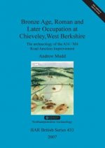 Bronze Age, Roman and later occupation at Chieveley, West Berkshire