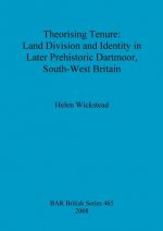 Theorising tenure: Land division and identity in later prehistoric Dartmoor, south-west Britain