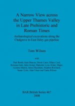 Narrow View Across the Upper Thames Valley in Late Prehistoric and Roman Times