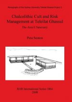 Chalcolithic Cult and Risk Management at Teleilat Ghassul