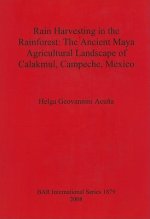 Rain Harvesting in the Rainforest: The Ancient Maya Agricultural Landscape of Calakmul Campeche Mexico