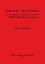 Thousand Years of Farming: Late Chalcolithic Agricultural Practices at Tell Brak in Northern Mesopotamia