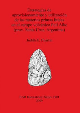 Estrategias de aprovisionamiento y utilizacion de las materias primas liticas en el campo volcanico Pali Aike (prov. Santa Cruz Argentina)