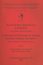 Non-Flint Raw Material Use in Prehistory  / L'utilisation prehistorique de matieres premieres lithiques alternatives