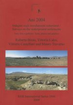 Ani 2004: Indagini sugli insediamenti sotterranei /Surveys on the underground settlements testi foto e grafiche / texts photos and graphics